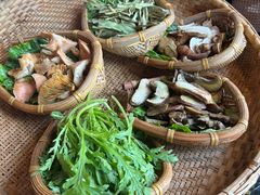 -滇野云南野生菌餐厅(陕西南路店)