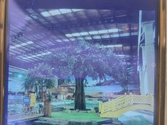 -南宫温泉水世界