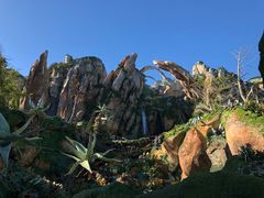 -奥兰多迪士尼动物王国乐园