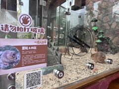 -珠海海泉湾神秘岛亲子乐园