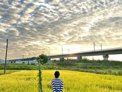 -光明小镇欢乐田园