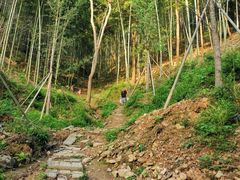 -湖南嵩云山国家森林公园