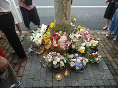 -上海市世外小学