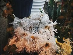 -静岸花卉园艺(三星坊店)