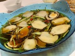 鲍鱼捞拌-双井轩(双井店)
