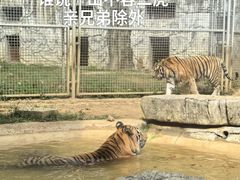 -黔灵山公园
