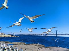 -星海广场