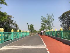 -上海长兴岛郊野公园