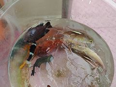 -小猫钓鱼海钓俱乐部(椰梦长廊店)