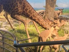 -国家自然博物馆