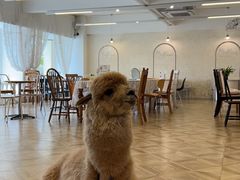 -Blue Concept Cafe&Farm·關於藍