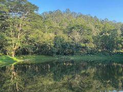 -番禺大夫山森林公园