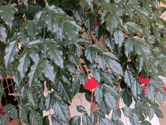 -名流健康高端体检中心·名宾门诊·健康管理