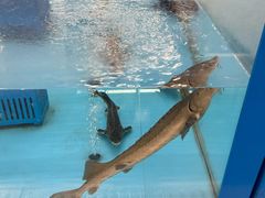 -麦德龙(浦东店)