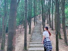 -广州市帽峰山景区
