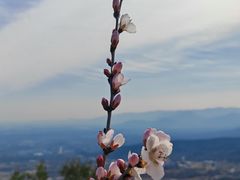 -北京凤凰岭