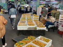 -沈阳市八家子水果批发市场
