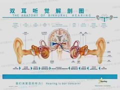 -自然之声助听器(平凉店)