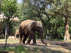 -北京野生动物园