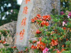 -梧桐山风景名胜区