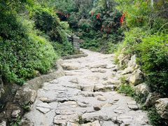 -鸡鸣山旅游景区