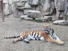 -上海野生动物园