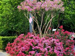 -杭州城北体育公园