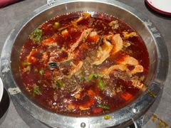 -蜀滋香鲜鱼美蛙火锅(339店)