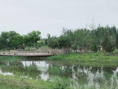 -东郊湿地公园