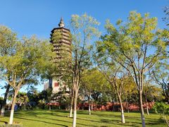 -西海子公园