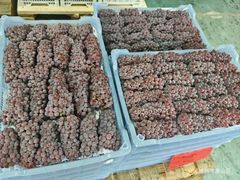 -徐州雨润农副产品全球采购中心