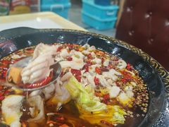 -金三可市井水煮鱼(金碧园店)