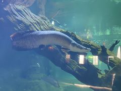 -华夏文旅海洋公园