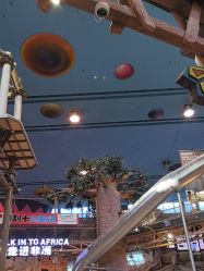 -卡通尼·Safari非洲探索乐园·生日会(金桥国际商业广场店)