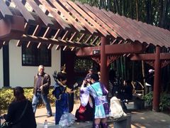 iphone_upload_pic-望江楼公园