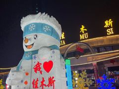 -佳木斯东郊机场