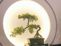 -席仁堂推拿按摩脊柱调理(世纪科贸大厦店)