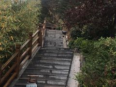 -麦积山温泉