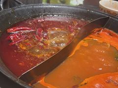 -朱光玉火锅馆(正弘城店)