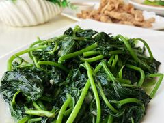 地瓜叶-鑫悦楼煎蟹·16年海鲜大排档