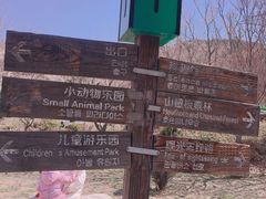 -青岛森林野生动物世界