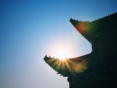 -遵化市禅林寺古银杏风景园