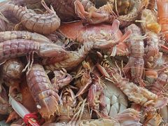 -半岛听涛蒸汽海鲜自助(K11店)