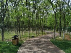 -艾溪湖湿地公园