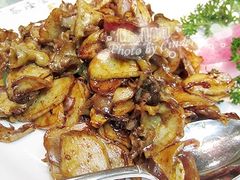 鲍菇-懋隆金阁·博山菜