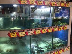 -高记广州大排档(关平路店)