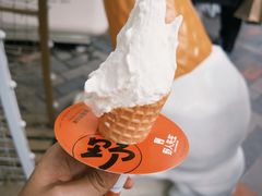 -野人先生现做冰淇淋(北京顺义祥云小镇店)