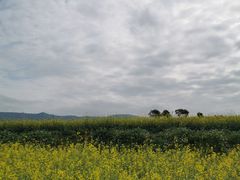 -光明小镇欢乐田园