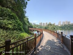 -重庆彩云湖湿地公园