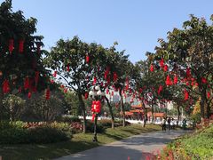 -荔枝公园(福田区)